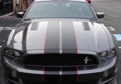 Mustang Stripes