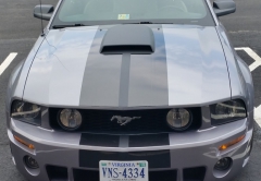 Mustang stripes1